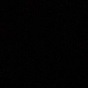 Meet your Posher, Jaylie